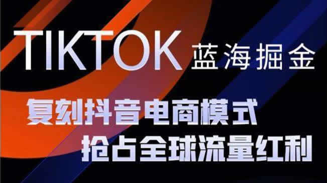 TikTok掘金新蓝海：原创动画中视频计划海报